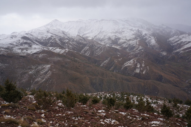 Do Saara até Marrakesh pelas Gargantas do Todra, do Dadès e Ouarzazate: o roteiro mais imperdível do Marrocos