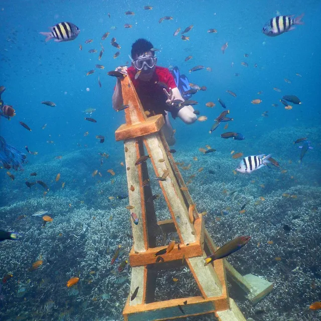 taman wisata nemo di pahawang lampung