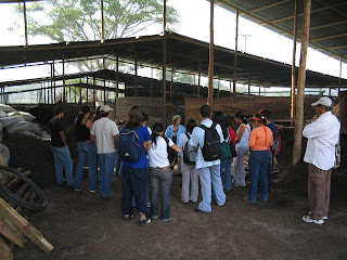 terraza de ibague