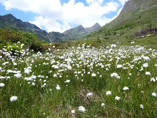 Val Sanguigno