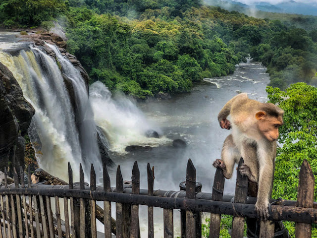 Athirapally falls kerela money monsoon 