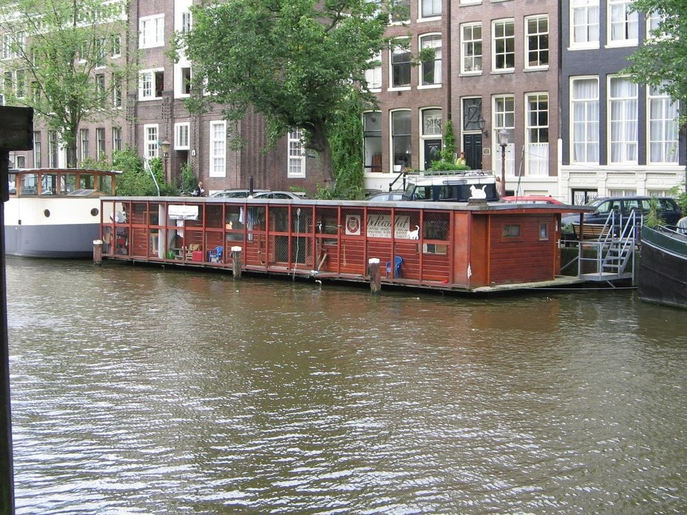 de-poezenboot-8