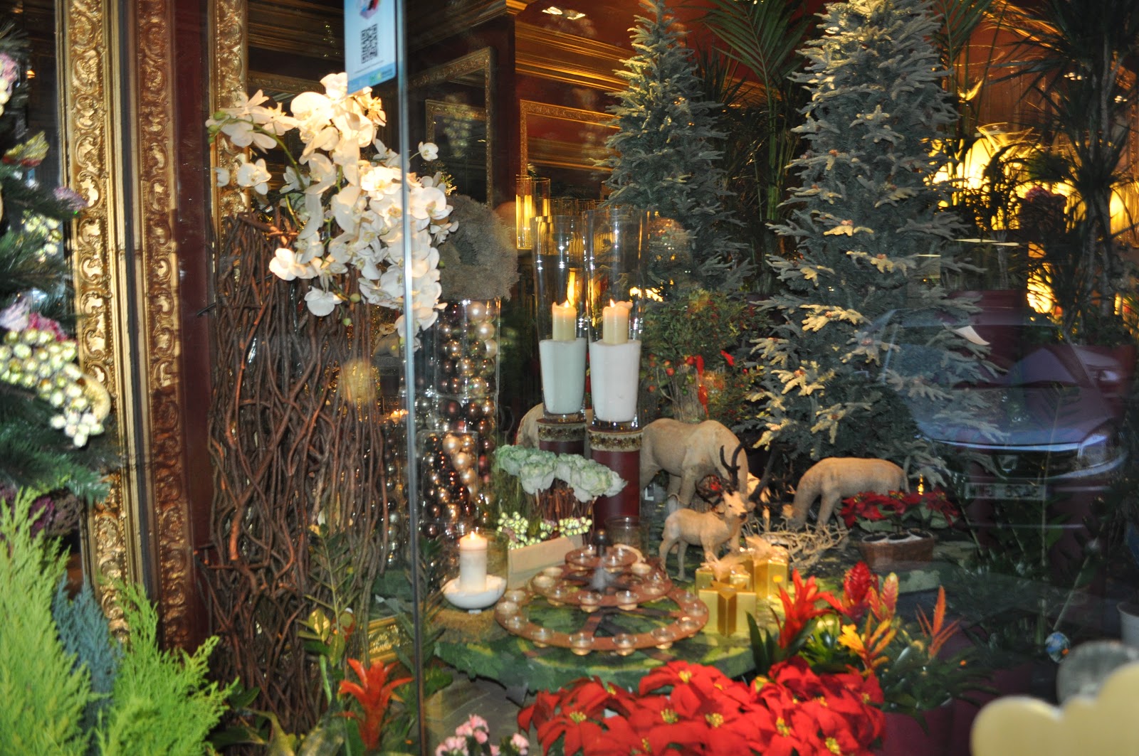 Ensanche Área Comercial Pamplona: diciembre 2012