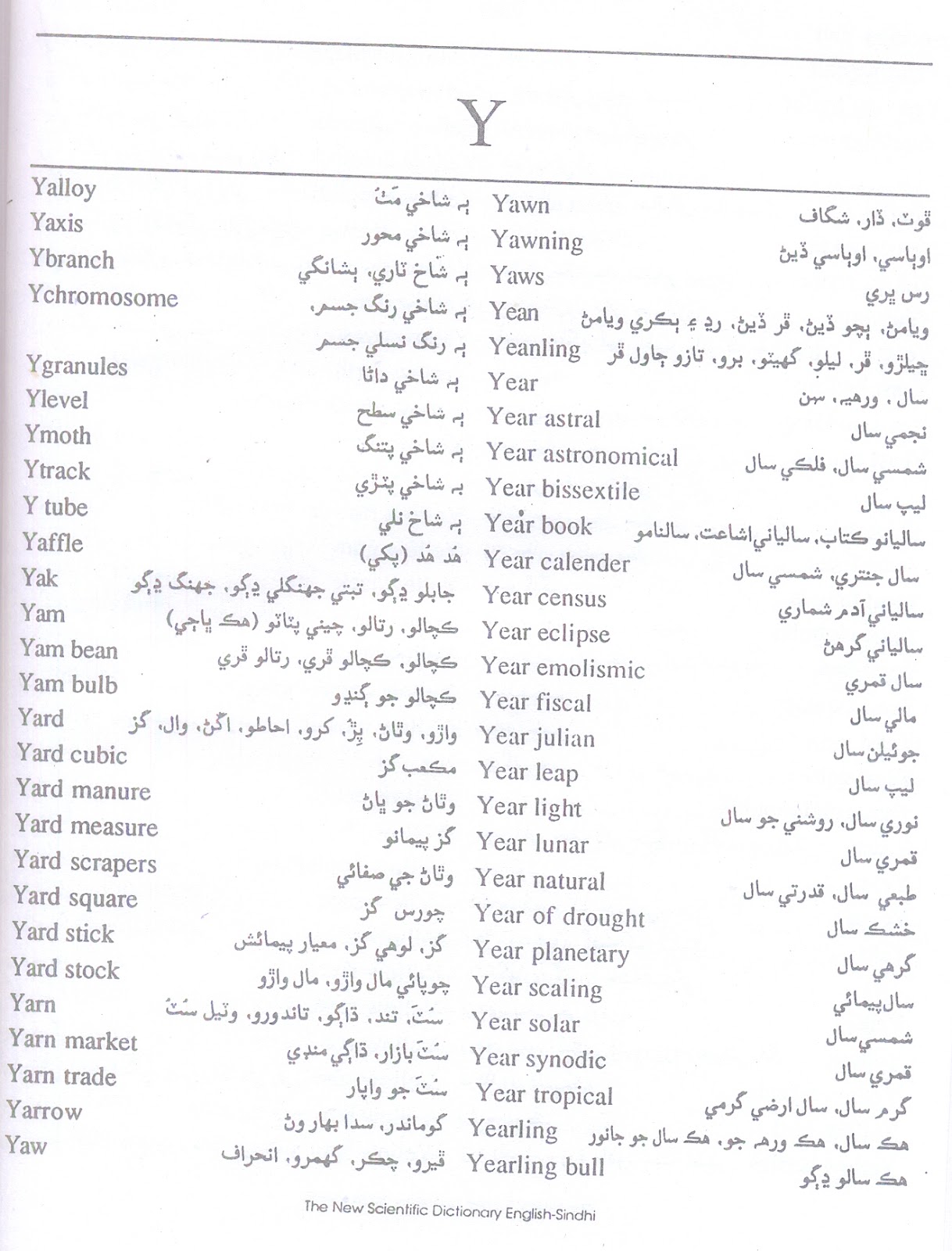 The New Scientific Dictionary English To Sindhi Roshni Publication