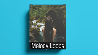 SAMPLE PACK / MELODY LOOPS  vol:53