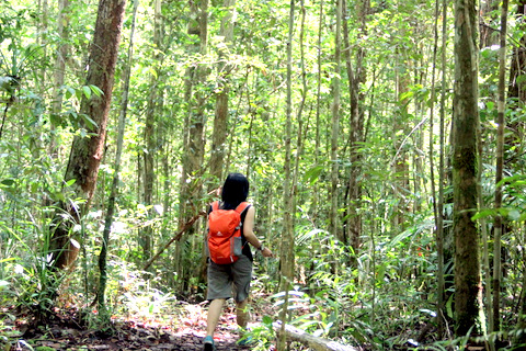 smart traveler untuk hutan