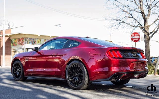 2015 Ford Mustang Shelby Gt350 Price