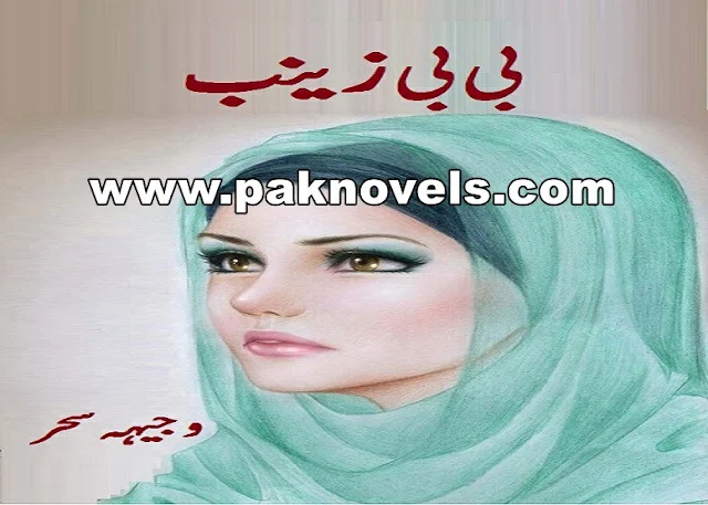 Bibi Zainab Novel  