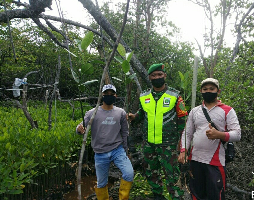 Babinsa Kelurahan Bandarsyah Lakukan Komsos Dengan Warga Penyedia Bibi Mangrove