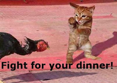 Funny Pictures: A dinner fight