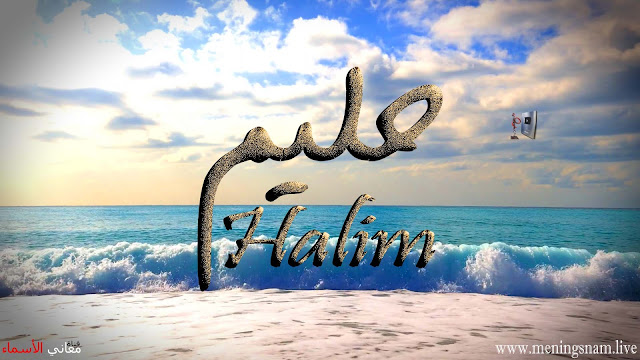 معنى اسم حليم وصفات حامل هذا الاسم Halim