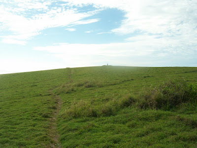 green grassy hill at moonee beach near coffs harbour, australia that looks like the windows xp default desktop background 'bliss'