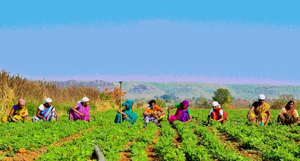 ek saath kaam kar rahe kisan , PM ने हाल ही मै दी किसान सम्मान निधि योजना की 18वी किस्त की जानकारी | मिलेंगे इतने रुपये