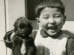 Hiroshima: Photograph of a Boy and His Dog