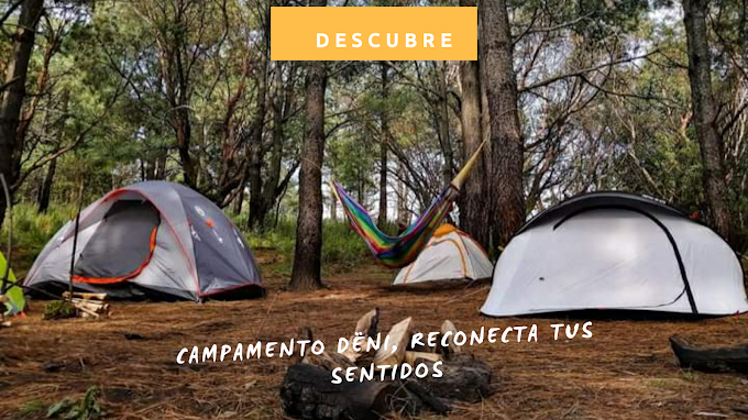 Campamento Dëni, reconecta tus sentidos