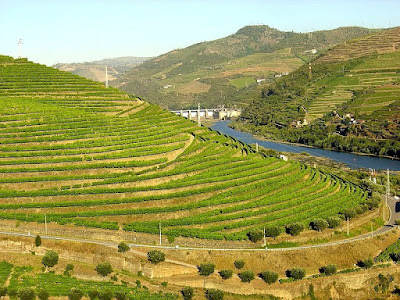 Douro valley landscape