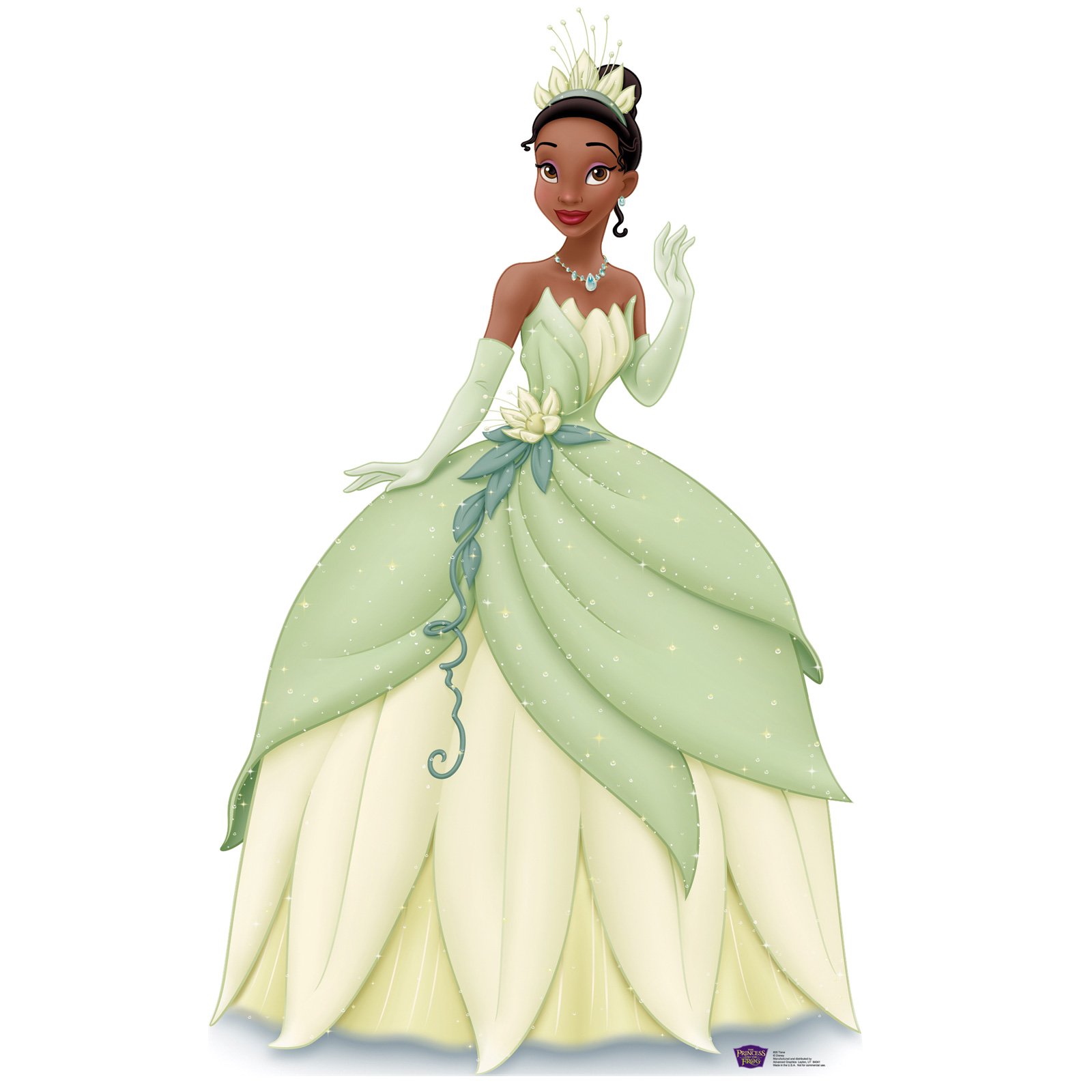 Princess Tiana Dress  Car Interior Design