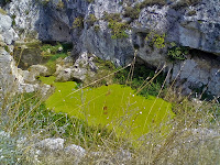 Laghetti lungo il torrente