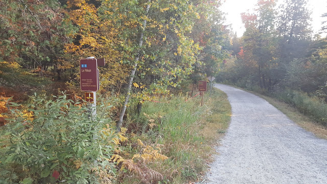 Sentier le Pékan longeant l'étang aux Cerises