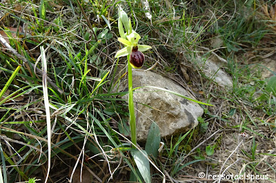 Volta a la serra de Bestracà