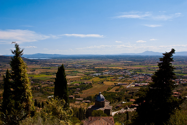 Syrah of Cortona Tuscany