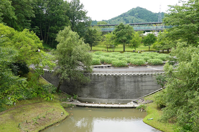 鳥取県西伯郡南部町鶴田　とっとり花回廊　プロムナード橋　水上花壇を望む