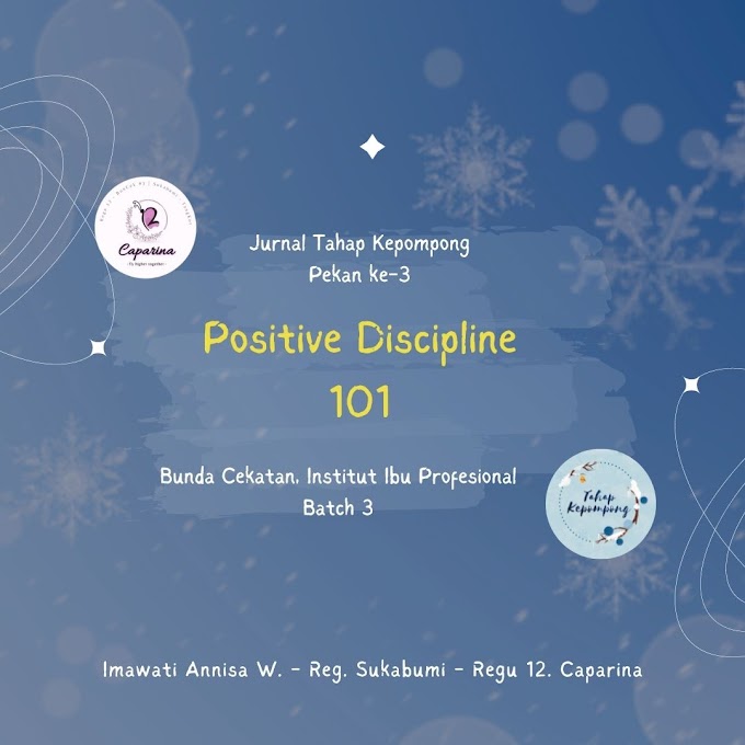 Positive Discipline 101