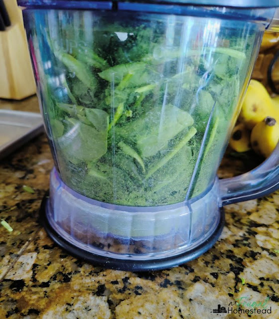 freeze drying spinach