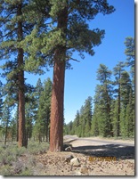 2010 Redding and La Pine, OR 042