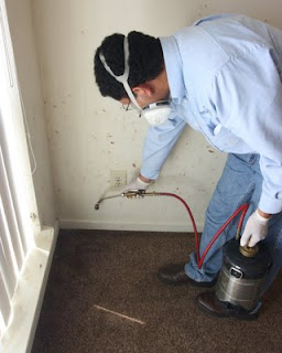 Bed bugs provide one of the few legitimate times where baseboard treatment is justified.  Note the blood smears on the wall where residents crushed bed bugs.