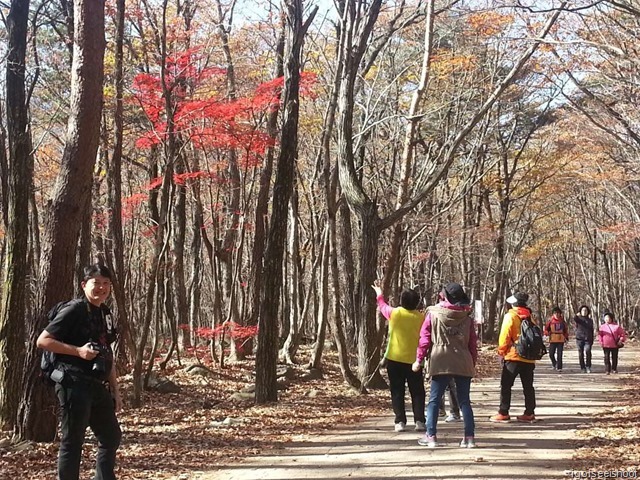  Along the Biseondae trail in Seoraksan National Park