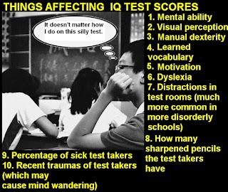 things affecting IQ scores