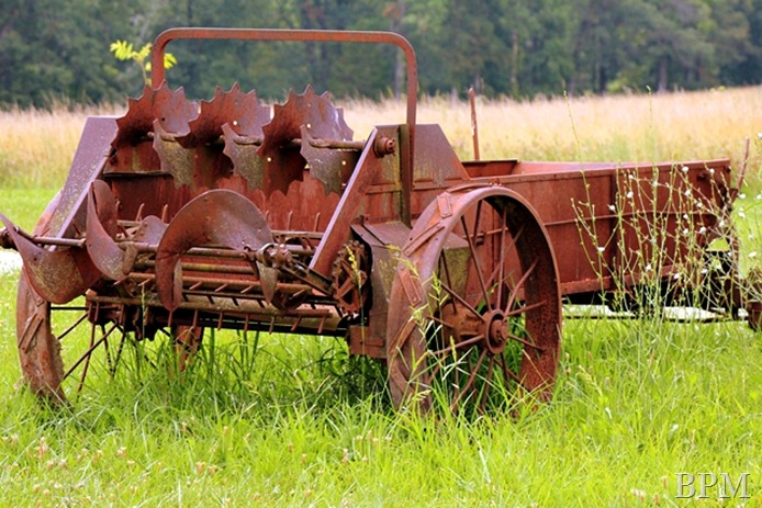 countryliving23