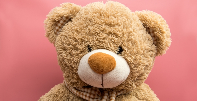 A brown teddy bear