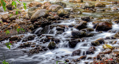 Les rivières de la Guadeloupe