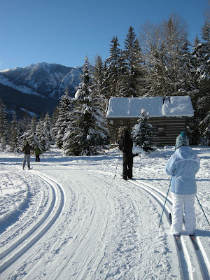 X-country ski lesson with