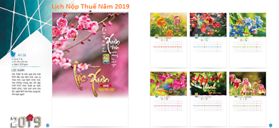 Lịch nộp các loại báo cáo thuế mới nhất 2019 thuế môn bài mới nhất