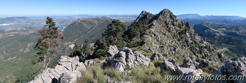 Cresteria de la Sierra del Pinar