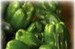 Green Bell Peppers