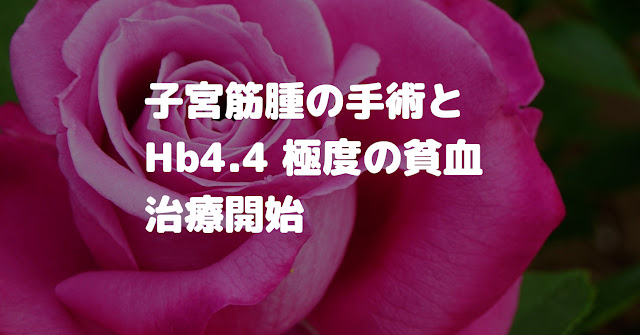 子宮筋腫（筋腫分娩）の手術と貧血の治療