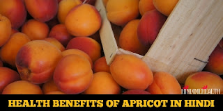 Apricot Health Benefits in Hindi