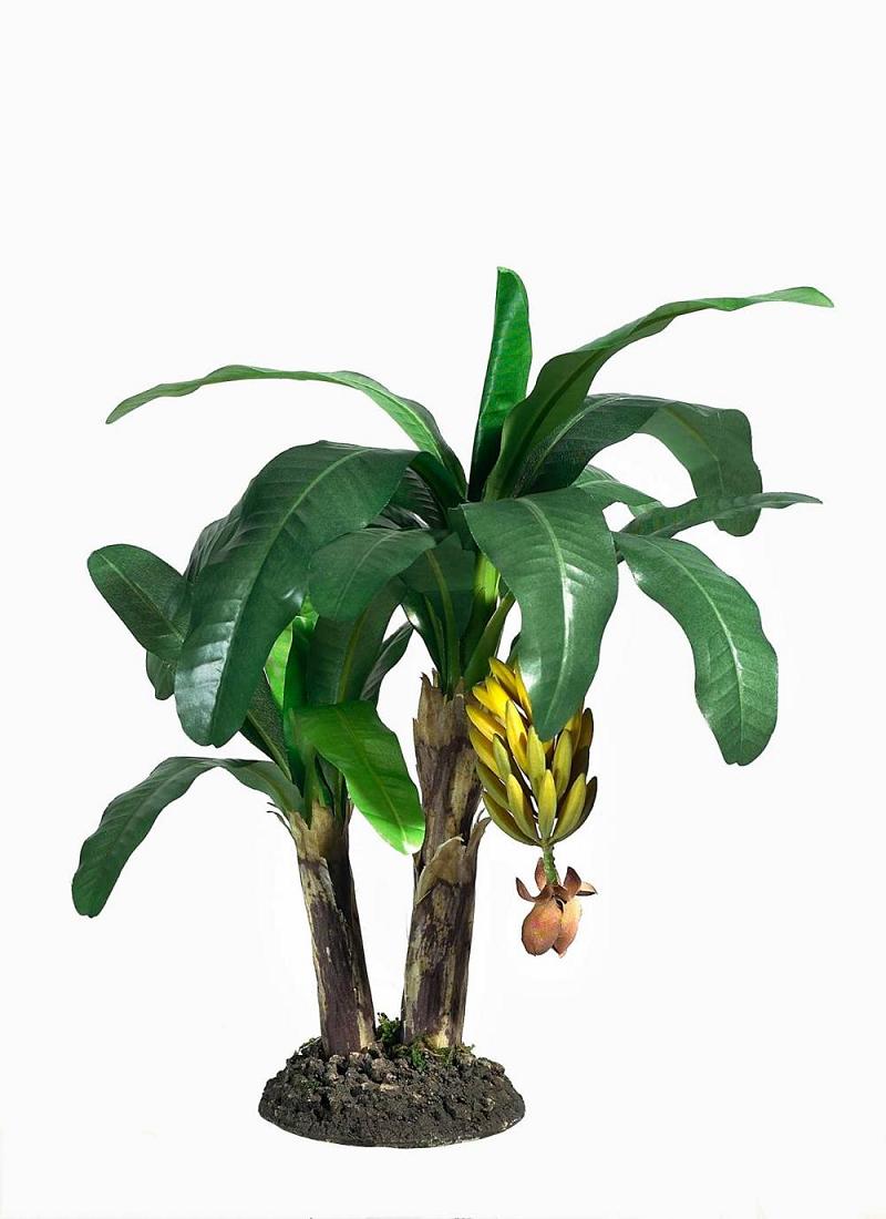 Manfaat pohon pisang mobi web blogspot com