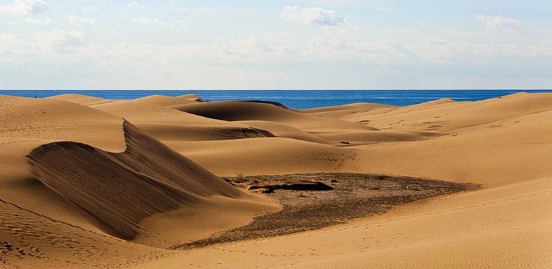 dunas de maspalomas; maspalomas dunes; maspalomas sand dune; maspalomas dunas; gran canaria dunes; las dunas maspalomas gran canaria; maspalomas spanien; dunas maspalomas; reserva natural especial de las dunas de maspalomas; natural dune reserve of maspalomas; maspalomas dunes; maspalomas dunas; dunas de maspalomas; where is maspalomas; las palomas beach dunes;