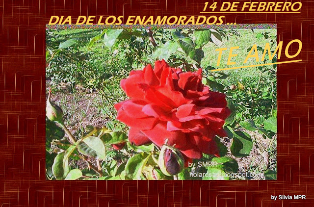  feliz dia de los enamorados corazones y rosas rojas de amor 94.jpg