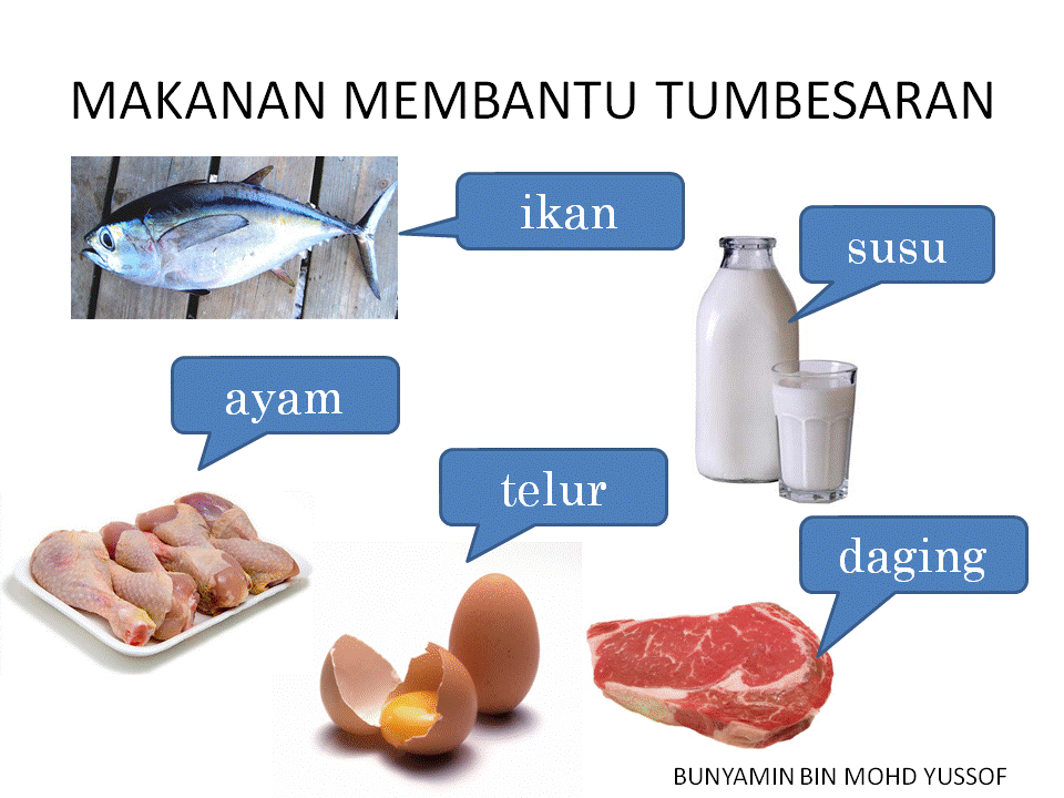 Dunia Sains dan Teknologi (Belajar dengan Ceria): DST 