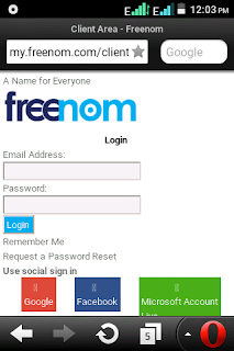 how to get free domain
