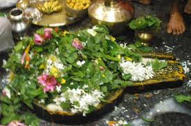 Image result for shivling belpatra