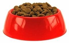Pote de comida Cada um no seu canto