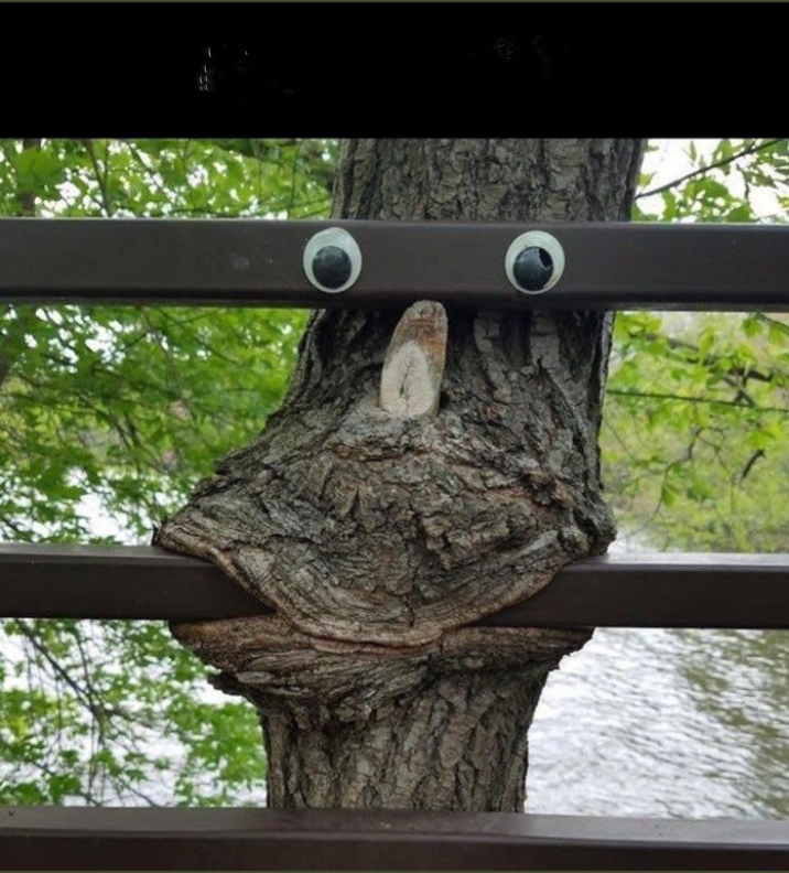 YouTube Funny Pictures