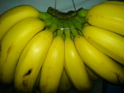  Di Indonesia pisang yang ditanam baik dalam skala rumah tangga ataupun kebun pemeliharaan BUDIDAYA TANAMAN PISANG
